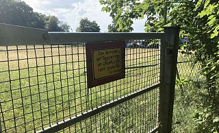 Auf dem Sportplatz in Holzhausen-Externsteine hat schon länger kein Junge mehr Fußball gespielt. Doch der Platz soll wieder reaktiviert werden. - Cordula Gröne Auf dem Sportplatz in Holzhausen-Externsteine hat schon länger kein Junge mehr Fußball gespielt. Doch der Platz soll wieder reaktiviert werden. - Cordula Gröne