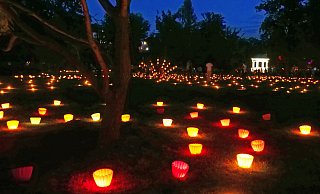 Das Lichtermeer hat LZ-Leser Martin Düsterberg im Kurpark per Foto eingefangen. - Martin Düsterberg Das Lichtermeer hat LZ-Leser Martin Düsterberg im Kurpark per Foto eingefangen. - Martin Düsterberg