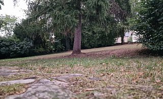 Um diese Grünfläche am Südhagenweg gegenüber der Grundschule Bösingfeld geht es. - Nadine Uphoff Um diese Grünfläche am Südhagenweg gegenüber der Grundschule Bösingfeld geht es. - Nadine Uphoff