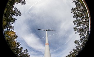 Windkraft im Wald? In Lippe seit Jahren ein großes Thema. - Daniel Karmann/dpa