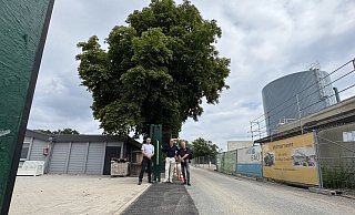 Björn Schakat (Vorstand Tierschutzverein, von links), Stadtwerke-Geschäftsführer Volker Stammer und Stefan Quirini (Vorstand Tierschutzverein) stehen am neuen Rolltor, dass sechs Meter breit ist. Im Hintergrund sieht man rechts den neu errichteten Wärmespeicher der Stadtwerke. - Sven Kienscherf