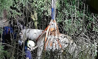 Feuerwehrkräfte heben das Pferd mittels Spezialgerät aus dem Bachlauf in Lage-Oetternbach. - Feuerwehr Lage Feuerwehrkräfte heben das Pferd mittels Spezialgerät aus dem Bachlauf in Lage-Oetternbach. - Feuerwehr Lage