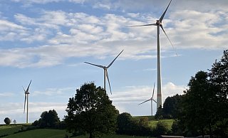 Windräder auf der Gauseköte sind umstritten - hier, im Bereich Kempenfeldrom, stehen bereits Windräder, zudem weitere auf dem Bauerkamp Richtung Schlangen. - Cordula Gröne
