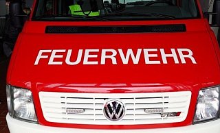 Doie besorgte Mutter rief die Feuerwehr um Hilfe. - Pixabay