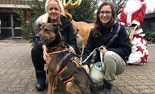 Melanie Vogt (links) und die ehrenamtliche Helferin Eileen Kleemeier mit Hund Makani. Der Ridgeback-Schäferhund-Mischling trägt ein Sicherheitsgeschirr und eine zweite Leine. - Sven Kienscherf Melanie Vogt (links) und die ehrenamtliche Helferin Eileen Kleemeier mit Hund Makani. Der Ridgeback-Schäferhund-Mischling trägt ein Sicherheitsgeschirr und eine zweite Leine. - Sven Kienscherf