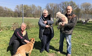 Die Hunde von Luba und Vladimir Topor (stehend) können zunächst kostenfrei in der Pension des Tierheims leben. Mit im Bild ist Melanie Vogt, Leiterin des Hundehauses. - Sven Kienscherf Die Hunde von Luba und Vladimir Topor (stehend) können zunächst kostenfrei in der Pension des Tierheims leben. Mit im Bild ist Melanie Vogt, Leiterin des Hundehauses. - Sven Kienscherf