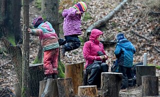 So ähnlich könnte es aussehen: Die Waldhasen-Gruppe spielt im Waldkindergarten am Boxberg in Schleswig-Holstein. - Carsten Rehder/dpa