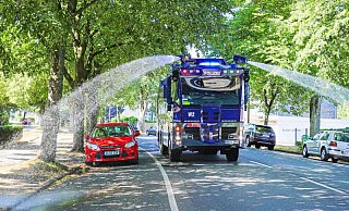 In Wuppertal f&uuml;hren die hei&szlig;en Temperaturen und anhaltende D&uuml;rre zu au&szlig;ergew&ouml;hnlichen Ma&szlig;nahmen: Ein Wasserwerfer der Polizei hilft, B&auml;ume in der Stadt zu bew&auml;ssern. - Foto: Claudia Otte