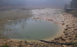 Der Wasserstand des Höpperteichs wurde vor dem Abfischen abgesenkt. - Symbolbild: Pixabay Der Wasserstand des Höpperteichs wurde vor dem Abfischen abgesenkt. - Symbolbild: Pixabay