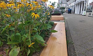 Die Blumenkästen und der von der Stadt aufgestellte Sandkasten kommen nur mäßig an. Einmal hatte es hier schon einen beinahe Unfall gegeben, als ein Kind plötzlich vor einem Auto lag. - Janet König Die Blumenkästen und der von der Stadt aufgestellte Sandkasten kommen nur mäßig an. Einmal hatte es hier schon einen beinahe Unfall gegeben, als ein Kind plötzlich vor einem Auto lag. - Janet König