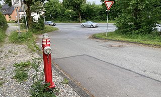 Um von der Straße "Schmales Feld" auf die Externsteiner Straße zu gelangen, bedarf es hoher Aufmerksamkeit. Die Sicht ist nach links auch durch hohe Gräser eingeschränkt. - Cordula Gröne Um von der Straße "Schmales Feld" auf die Externsteiner Straße zu gelangen, bedarf es hoher Aufmerksamkeit. Die Sicht ist nach links auch durch hohe Gräser eingeschränkt. - Cordula Gröne