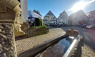 Auch der Volkwinbrunnen spielt bei der Umgestaltung des Marktplatzes eine Rolle. - Michaela Weiße