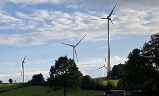 In Veldrom und auf dem Bauerkamp befinden sich bereits einige Windräder. - Cordula Gröne In Veldrom und auf dem Bauerkamp befinden sich bereits einige Windräder. - Cordula Gröne
