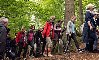 Auf in die Natur: 300 Kilometer Wanderwege gibt es in Lippe und jede Menge in Detmold. Ausgehend von der Innenstadt sind das Hermannsdenkmal und die Externsteine markante Zielpunkte, an denen sich viele andere sehenswerte Institutionen aufreihen. - Torben Gocke