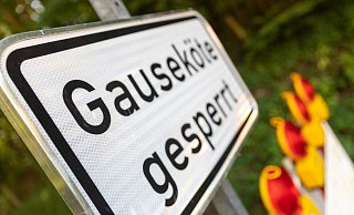 Keine Durchfahrt: Seit dem 25. Januar diesen Jahres ist die Gauseköte gesperrt, weil ein Erdrutsch drohte. Die Pendler und Firmen warten seit dieser Zeit auf eine Lösung von Straßen.NRW. - Archivfoto: Jannik Stodiek