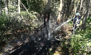 Flächenbrand Dörentrup Schwelentrup am Waldrand. - Feuerwehr Dörentrup Flächenbrand Dörentrup Schwelentrup am Waldrand. - Feuerwehr Dörentrup