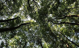 Tiefental - Kirsten Fuhrmann