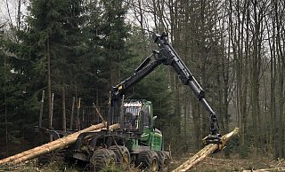 Wenn entlang der Wander- und Forstwege Fichten bedenklich schief stehen, werden sie mit dem Harvester gefällt. - Till Brand Wenn entlang der Wander- und Forstwege Fichten bedenklich schief stehen, werden sie mit dem Harvester gefällt. - Till Brand