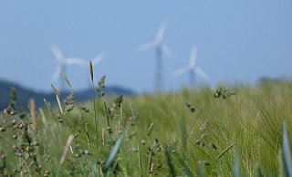 Die Bürgerenergie-Genossenschaft (Bela) hat ihren Antrag für zwei Windkraftanlagen in Ohrsen nach der Sitzung des Bauausschusses zurückgezogen. - Symbolbild: Pixabay