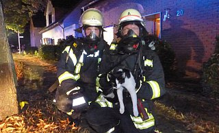 Gestresst, aber in Sicherheit: Die Katze konnte von den Rettungsleuten in Sicherheit gebracht werden. - Feuerwehr Kalletal