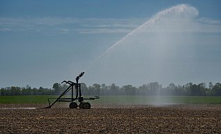 Auch in Lippe sind die Felder im Sommer teilweise staubtrocken. Manch ein Bauer greift zur Bewässerungsanlage. Eine Kooperation zwischen Wasserversorgungsunternehmen und Landwirtschaft soll helfen. - Pixabay