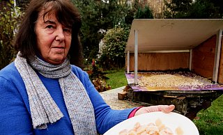Jeden Vormittag hat Ursula Flake den beiden Raben Hühnerfleisch rausgestellt. Allerdings waren die Portionen feiner geschnitten, als hier zu sehen, betont sie. - Till Sadlowski Jeden Vormittag hat Ursula Flake den beiden Raben Hühnerfleisch rausgestellt. Allerdings waren die Portionen feiner geschnitten, als hier zu sehen, betont sie. - Till Sadlowski