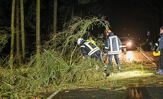 Umgestürzte Bäume, wie hier zwischen Strahwalde und Ottenhain im sächsischen Herrnhut, hielten auch die Feuerwehr im lippischen Osten auf Trab. - Philipp Mann/dpa Umgestürzte Bäume, wie hier zwischen Strahwalde und Ottenhain im sächsischen Herrnhut, hielten auch die Feuerwehr im lippischen Osten auf Trab. - Philipp Mann/dpa