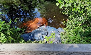 Diese Müllsäcke hat Förster Fritzemeier im Amphibienreich im Naturschutzgebiet Heimbachtal gefunden. - Landesverband Lippe Diese Müllsäcke hat Förster Fritzemeier im Amphibienreich im Naturschutzgebiet Heimbachtal gefunden. - Landesverband Lippe