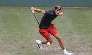 Alexander Zverev begeistert bei seiner Rückkehr auf den Haller Rasen mit einer starken, sehr konzentrierten Leistung. - IMAGO/Hasenkopf