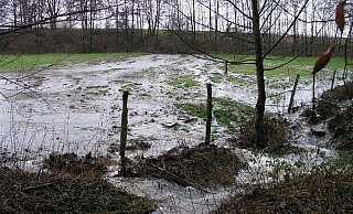 Das Foto zeigt Hochwasser an der Windwehe im Jahr 2005. - Ewald Thies/NABU Leopoldshöhe Das Foto zeigt Hochwasser an der Windwehe im Jahr 2005. - Ewald Thies/NABU Leopoldshöhe