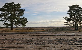 Die Grünen möchten einen Nationalpark Senne. CDU, FDP, Freie Wähler und Aufbruch C sind dagegen. Hier zu sehen ist ein Teil der Senne, in dem sich die Spuren der Militärübungen zeigen. - Archivfoto: Vera Gerstendorf-Welle