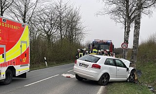 Der Fahrer des Audis wurde bei dem heftigen Aufprall schwer verletzt. - Silke Buhrmester