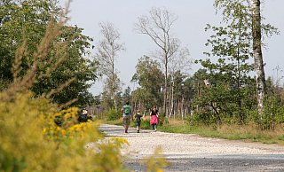 Die Senne lädt geradezu zum Wandern ein. Der riesengroße Rundwanderweg und zehn Erlebnistouren sollen nun den Tourismus rund um das Naturschutzgebiet ankurbeln. - Martin Düsterberg Die Senne lädt geradezu zum Wandern ein. Der riesengroße Rundwanderweg und zehn Erlebnistouren sollen nun den Tourismus rund um das Naturschutzgebiet ankurbeln. - Martin Düsterberg