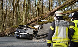 Ein Bild der Verw&uuml;stung auf der Paderborner Stra&szlig;e. Foto: Tim Freitag - Tim Freitag