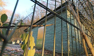 Der Wasserbeschaffungsverband Hohenhausen wird voraussichtlich aufgel&ouml;st, weil sich auch bei einer Verbandsversammlung am Donnerstag kein Vorstand gefunden hat. Zugleich gibt es mehrere "Baustellen" - unter anderem rei&szlig;en die Sulfatwerte an der Wassergewinnungsanlage &Ouml;fingstal (Foto) den Grenzwert. - Jens Rademacher