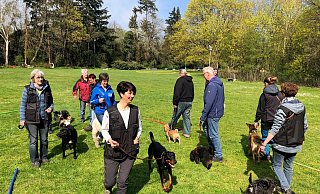 Vier- und Zweibeiner laufen auf der großen Liegewiese des ehemaligen Freibads Schötmar quer durcheinander. Die Hunde beiben dabei ruhig - ein Zeichen für erfolgreiches Training. - Thomas Reineke