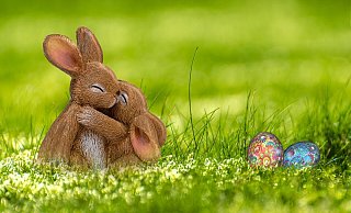 Der Osterhase will mit Freunden auf der Wiese am Freibad Schieder Eier verstecken. Das hat der Osterhase mit dem Freibadförderverein besprochen. - Symbolfoto Pixabay