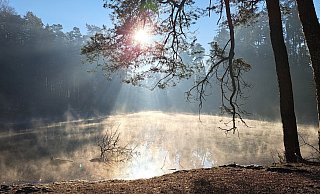 Das frostige Wetter zaubert am Donoperteich eine wahre Wunderwelt. - Anne Wolf Das frostige Wetter zaubert am Donoperteich eine wahre Wunderwelt. - Anne Wolf