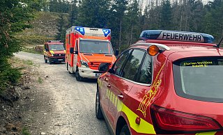 Die Feuerwehr Detmold unterst&uuml;tzte den Rettungsdienst bei der Versorgung des Verletzten auf dem Senne-Radweg im Bereich der Gausek&ouml;te. - Feuerwehr Detmold