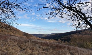 Mit der Naturschutzma&szlig;nahme wird ein alter Kulturlandschaftslebensraum und der Charakter des Tiefentals erhalten. - Kreis Lippe
