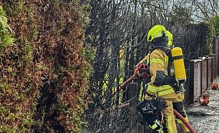 Die Einsatzkräfte konnten die brennenden Pflanzen schnell ablöschen. - Feuerwehr Detmold Die Einsatzkräfte konnten die brennenden Pflanzen schnell ablöschen. - Feuerwehr Detmold