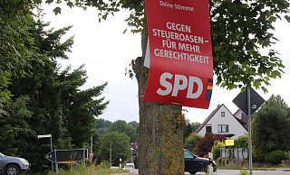Plakate aller Art an Bäumen sind in Oerlinghausen nicht mehr erlaubt. Dieses Exemplar hängt eine Woche nach der Europa-Wahl noch an der Detmolder Straße. Foto: Knut Dinter - Knut Dinter