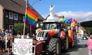 Hoch her gehen wird es Ende August wieder in Hohenhausen - wie hier beim Heimatfest im Jahr 2017. - Nadine Uphoff