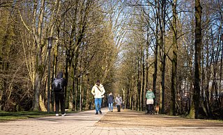 Noch sind es nur ganz zarte Überlegungen. Sollte die Seilbahn-Idee aber tatsächlich in die Tat umgesetzt werden, könnten entlang der Allee irgendwann Gondeln über die Köpfe der Spaziergänger hinweg rauschen. - Raphael Bartling