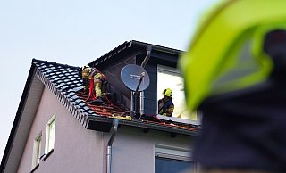 - Freitag-TV - Freitag-TV