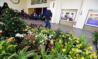 Ein Blumenbeet in der Wandelhalle erzeugt Frühlingsgefühle. - Nicole Ellerbrake