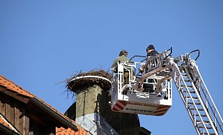 Naturfilmer Robin Jähne (in olivgrüner Jacke) und Frank Hoppe von der Freiwilligen Feuerwehr Lemgo (schwarzes Outfit) in luftiger Höhe. - Landesverband Lippe