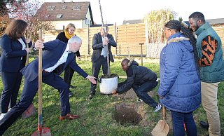 Thorsten Aust vom Abfallwirtschaftsverband Lippe kommt dem Gemeindeb&uuml;rgermeister Maxwell Koffie Lugudor von Ketu South und B&uuml;rgermeister Mario Hecker bei der Baumpflanzung zu Hilfe. Mit im Bild sind Landtagsabgeordnete Julia Eisentraut (von links), Klimaschutzmanagerin Henrike Sieker sowie aus Ghana Fusena Omaru Sumaila und Redeemer Mawunyo Sosa. - Jens Rademacher