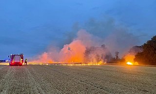 Rund 100 Einsatzkr&auml;fte k&auml;mpfen am Mittwoch gegen den Fl&auml;chenbrand an der Meinberger Stra&szlig;e. - Rieks/Feuerwehr Detmold