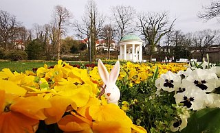 Ostern im Kurpark. - Staatsbad